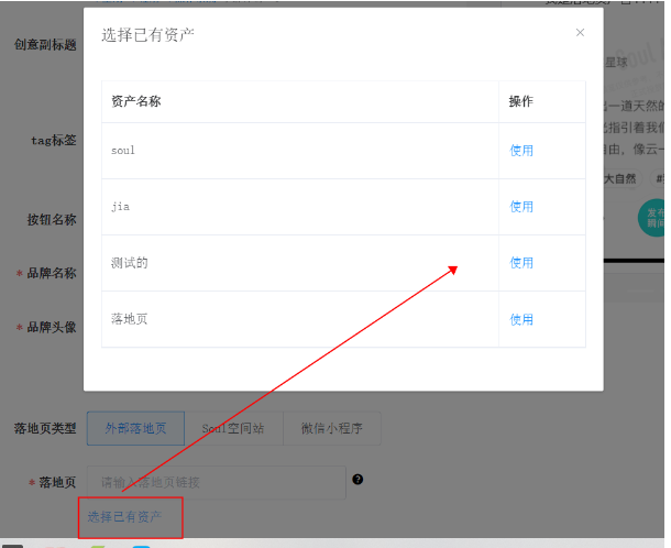 soul广告资产